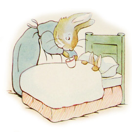 Image extraite du livre