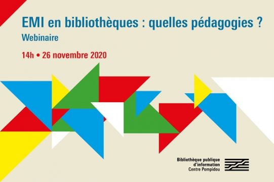 Logo webinaire EMI en bibliothèques